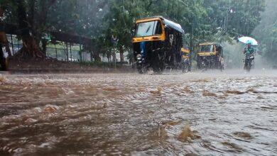 MP के 8 जिलों में मूसलधार बारिश का अलर्ट, यमुना में उफान से मंदाकिनी उफनी