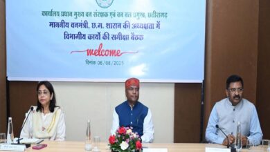 वनमंत्री कश्यप ने वन्यप्राणी के संरक्षण और संवर्धन के लिए विशेष बल देने निर्देशित किया