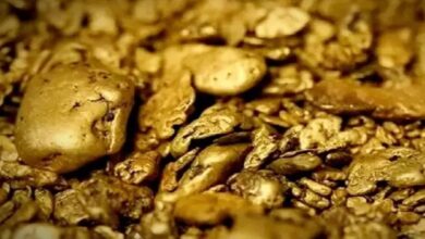 जबलपुर के सिहोरा में छुपा है ‘सोने का पहाड़’, GSI ने किया बड़ा खुलासा जबलपुर के सिहोरा में छुपा है ‘सोने का पहाड़’, GSI ने किया बड़ा खुलासा