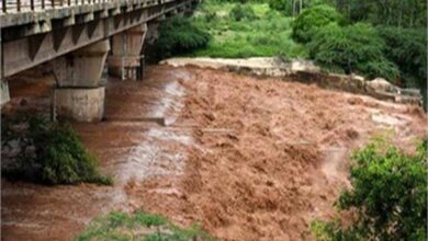 पटियाला में खतरे का सायरन! प्रशासन ने जारी किया अलर्ट