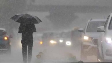 13-15 अगस्त: तेज बारिश और 61 किमी/घंटा तेज हवाओं का अलर्ट, IMD की नई चेतावनी