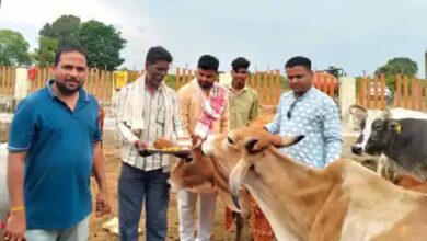 गोसंरक्षण: सिर्फ परंपरा नहीं, हमारी जिम्मेदारी भी