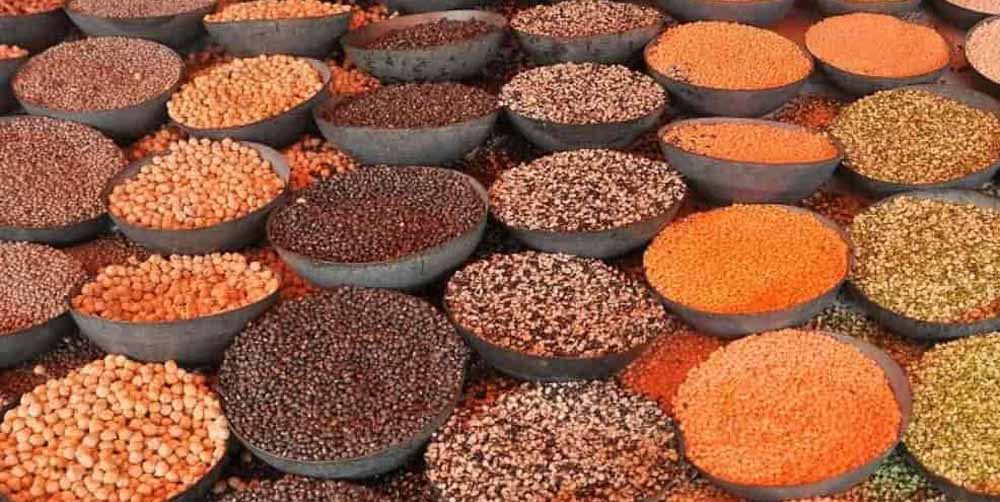 भारत के टॉप दाल उत्पादक राज्यों की लिस्ट: UP 5वें नंबर पर, जानें नंबर 1 और 2