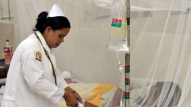 बांग्लादेश में डेंगू संकट बढ़ा, एक दिन में पांच मौतें बांग्लादेश में डेंगू संकट बढ़ा, एक दिन में पांच मौतें