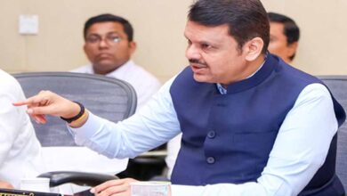 महादेवी हथिनी विवाद: सुप्रीम कोर्ट जाएगी महाराष्ट्र सरकार, फडणवीस ने दिया नंदनी मठ को समर्थन