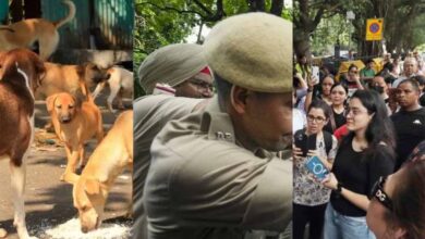 आवारा कुत्तों के आदेश के खिलाफ हंगामा, दिल्ली पुलिस ने शांत कराया और केस दर्ज किया