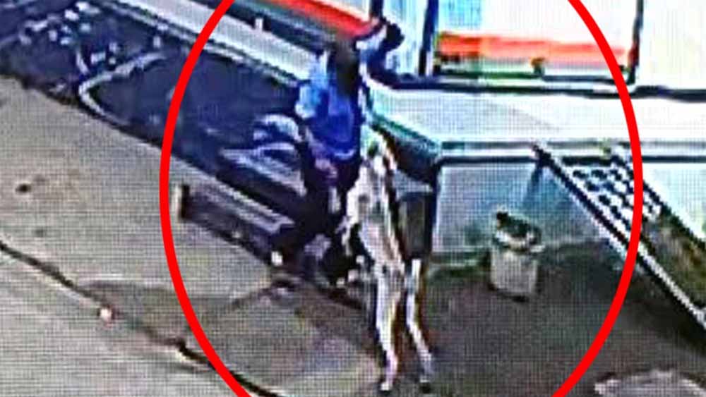 बड़वानी में कुत्तों का आतंक, बुजुर्ग और बच्चों पर हमले से दहशत