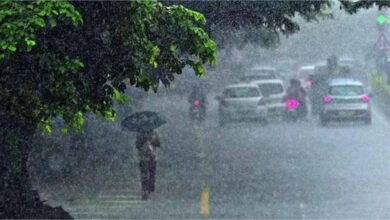 IMD का अलर्ट: 12 अगस्त तक हो सकती है मूसलाधार बारिश, इन जिलों के लिए सख्त चेतावनी