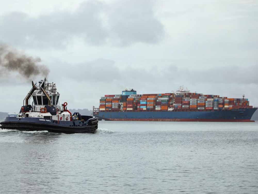 भारत ने तोड़ी ट्रंप टैरिफ की दीवार, यूक्रेन का सबसे बड़ा डीजल सप्लायर बना