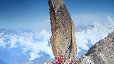 किन्नर कैलाश यात्रा 2025 रद्द: श्रद्धालुओं को बड़ा झटका, जानें कारण किन्नर कैलाश यात्रा 2025 रद्द: श्रद्धालुओं को बड़ा झटका, जानें कारण