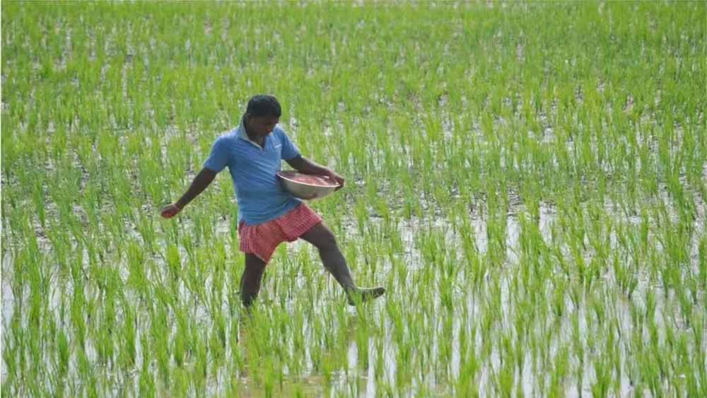 कृषि क्षेत्र को नया आयाम दे रही योगी सरकार