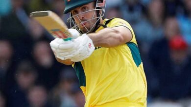 ऑस्ट्रेलियाई कप्तान ने कर दिया कंफर्म, टी20 वर्ल्ड कप में मिचेल मार्श के साथ कौन करेगा ओपनिंग?