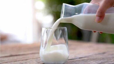 राखी से पहले जबलपुर में दूध महंगा, कीमतों में उछाल से जनता नाराज़ राखी से पहले जबलपुर में दूध महंगा, कीमतों में उछाल से जनता नाराज़