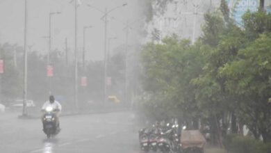 MP के 15 जिलों में भारी बारिश का अलर्ट, बैतूल-बुरहानपुर में अतिभारी बरसात