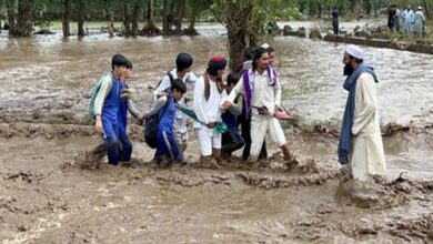 पाकिस्तान: खैबर पख्तूनख्वा में बारिश से भारी तबाही, 406 मौतें दर्ज पाकिस्तान: खैबर पख्तूनख्वा में बारिश से भारी तबाही, 406 मौतें दर्ज