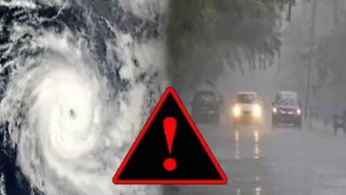 अगले 14 घंटों में बारिश का रौद्र रूप, 29 जिलों में IMD ने जारी किया अलर्ट