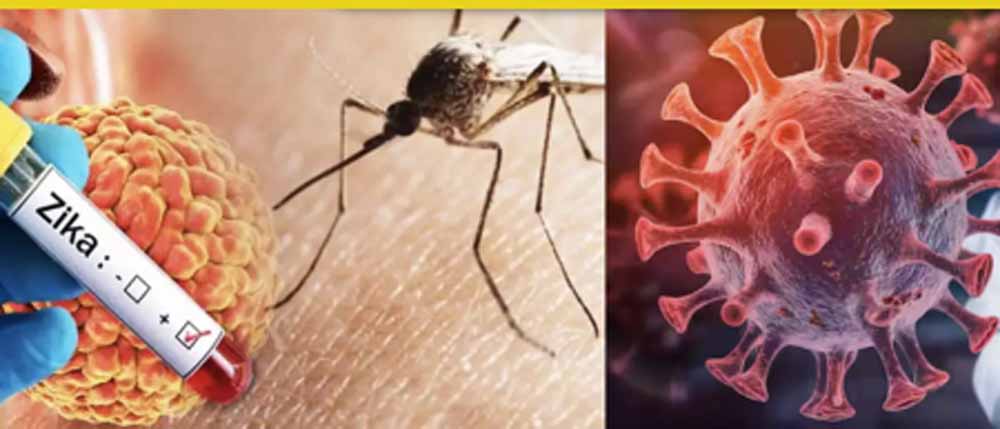 एमपी में खतरनाक वायरस की वापसी, डिंडोरी में बच्चे की मौत से मचा हड़कंप एमपी में खतरनाक वायरस की वापसी, डिंडोरी में बच्चे की मौत से मचा हड़कंप