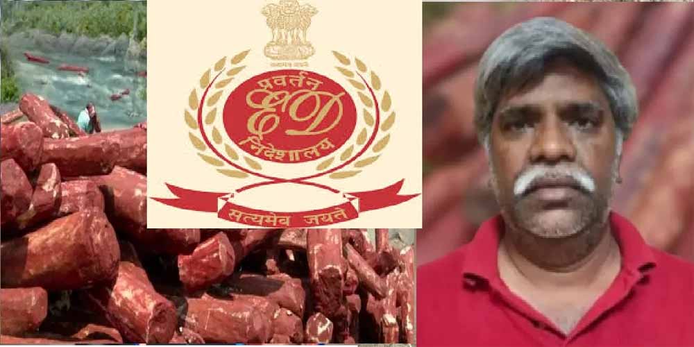 लाल चंदन तस्करी: ED ने अब्दुल जाफर की 8.6 करोड़ की संपत्ति कुर्क की