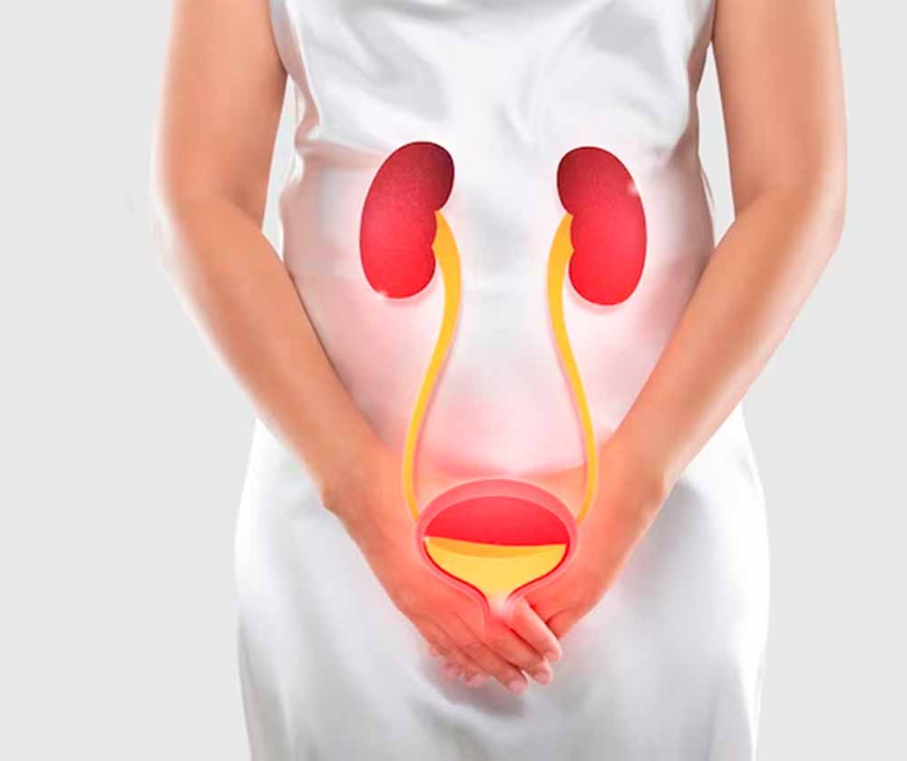 यूटीआई और हार्ट अटैक का खतरनाक कनेक्शन, वैज्ञानिकों ने किया चौंकाने वाला खुलासा