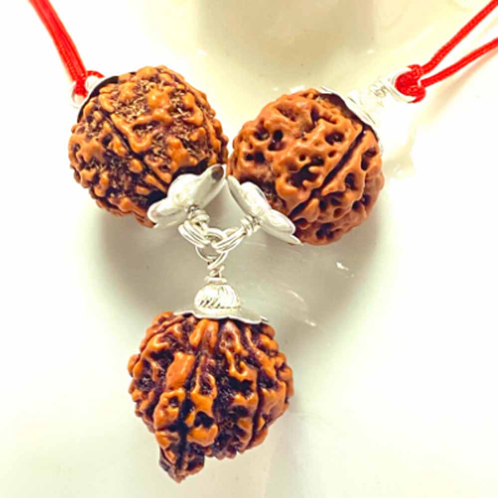 सर्वविध कल्याणकारी है रुद्राक्ष-कवच सर्वविध कल्याणकारी है रुद्राक्ष-कवच