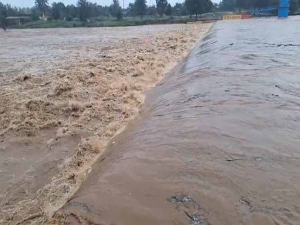 रामानुजगंज में मूसलाधार बारिश: कन्हर नदी उफान पर, निचली बस्तियों में जलभराव