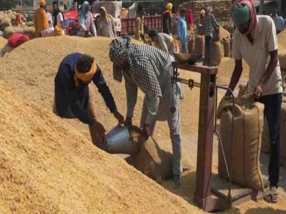 पश्चिमी यूपी में पहली अक्टूबर से होगी धान खरीद, सरकार ने बढ़ाया धान का न्यूनतम समर्थन मूल्य