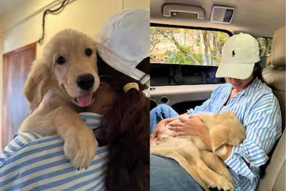 तृप्ति डिमरी के घर गूँजी किलकारियाँ? एक्ट्रेस ने शेयर किया नया पोस्ट