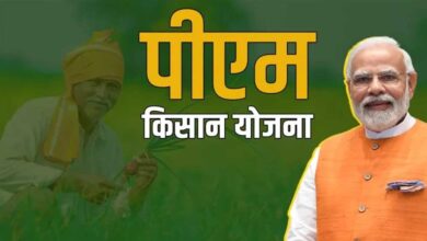 PM किसान योजना की 21वीं किश्त दिवाली से पहले! 2000 रुपये पाने के लिए तुरंत करें ये ज़रूरी काम