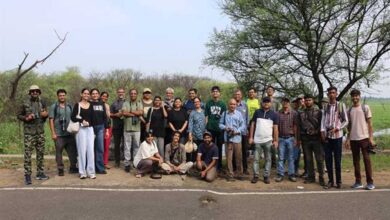 भोपाल और ग्वालियर में बर्ड वॉचिंग टूर, पर्यटकों ने देखीं 50 से अधिक पक्षी प्रजातियां