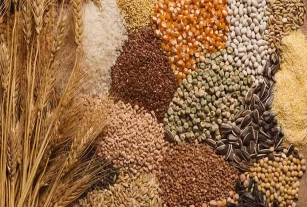 पहली अक्टूबर से शुरू होगी मोटे अनाज की खरीद