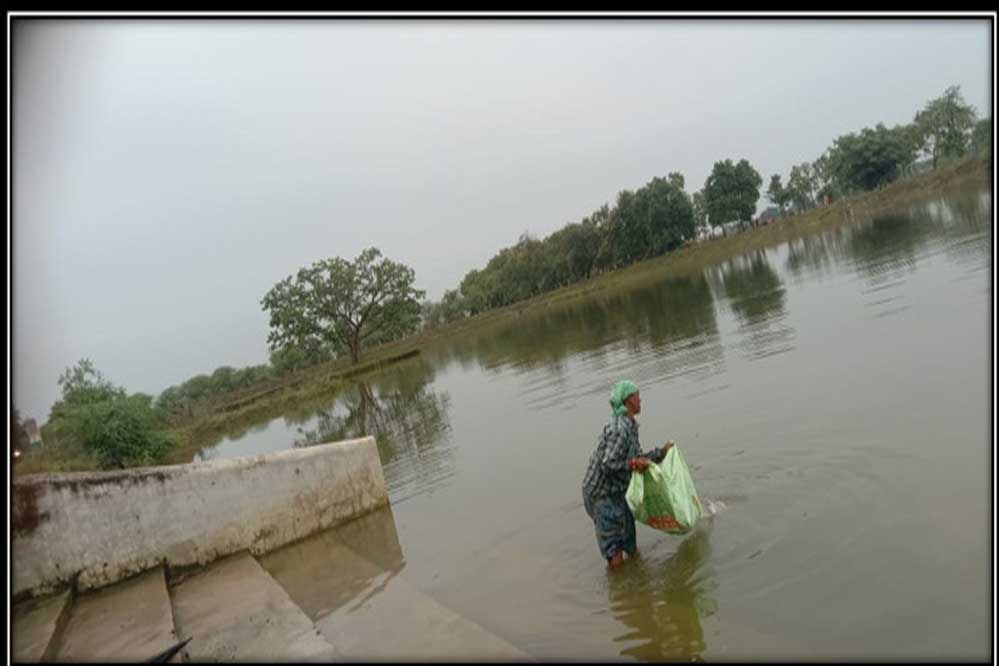 रायपुर : अमृत सरोवर से मिल रही आर्थिक उन्नति, 650 महिलाओं को मिला रोजगार रायपुर : अमृत सरोवर से मिल रही आर्थिक उन्नति, 650 महिलाओं को मिला रोजगार