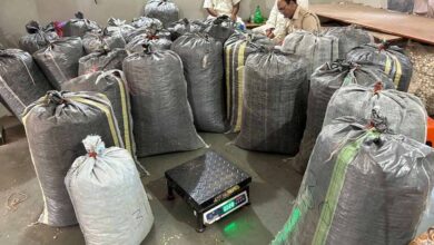 नीमच और मंदसौर बन रहे डोडा चूरा तस्करी के नए केंद्र, पंजाब-हरियाणा तक फैला कॉरिडोर