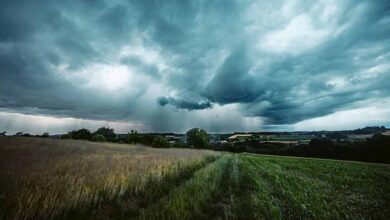 सितंबर में सामान्य से ज्यादा बरसात, किसानों को इन फसलों पर रखनी होगी नजर