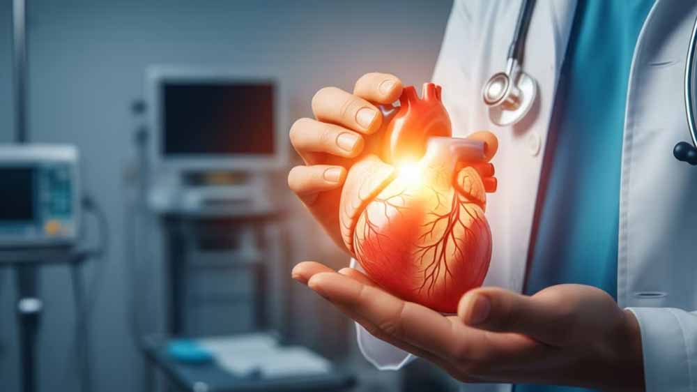 दिल की सेहत का अलर्ट: हर 6 महीने में करवाएं ये 2 टेस्ट, समय रहते जानें हार्ट डिजीज का रिस्क