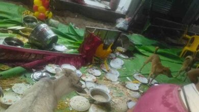 गृह प्रवेश में मातम: तेज रफ्तार कार पंडाल तोड़कर भीड़ में घुसी, चार की हालत नाजुक