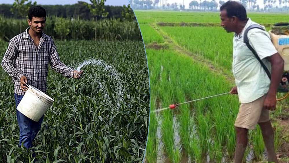 MP में खेती का रकबा घटा, लेकिन रासायनिक खाद की खपत पहुंची रिकॉर्ड स्तर पर