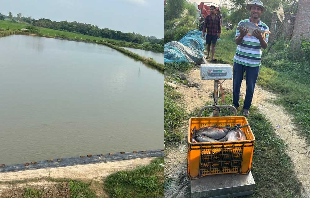 मिशन शक्ति से मिली प्रेरणा, तालाब से बदली जिंदगी