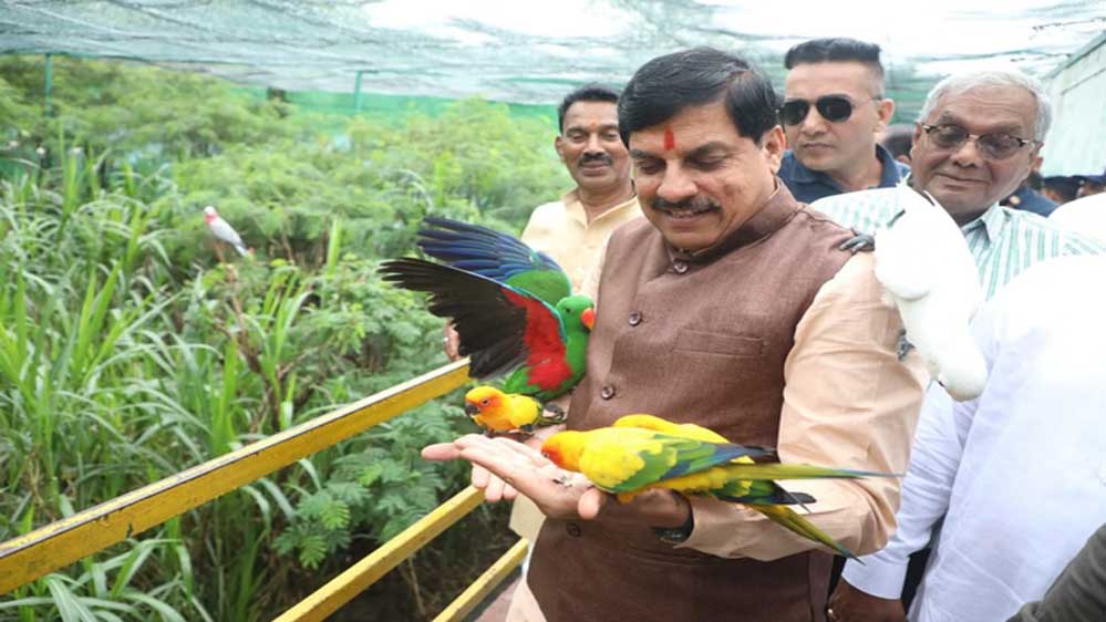 इंदौर प्राणी संग्रहालय में शिमोगा से आए चार जंगली भैंस, नए मेहमानों से मिलने पहुंचे मुख्यमंत्री यादव इंदौर प्राणी संग्रहालय में शिमोगा से आए चार जंगली भैंस, नए मेहमानों से मिलने पहुंचे मुख्यमंत्री यादव