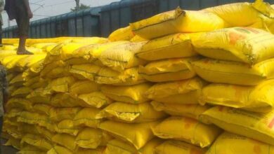 रायपुर : किसानों के लिए बड़ी राहत : सितंबर माह में 60,800 मीट्रिक टन यूरिया का आबंटन