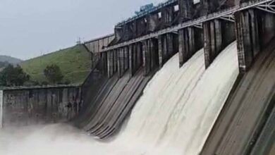 एमपी के 15 जिलों में भारी बारिश का अलर्ट, तवा डैम के 3 गेट खुले, टीकमगढ़ में 20 फंसे रेस्क्यू