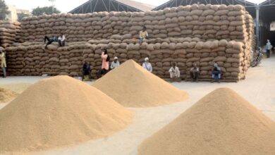 पश्चिमी यूपी में पहली अक्टूबर से होगी धान खरीद, साढ़े 23 हजार से अधिक किसानों ने कराया पंजीकरण