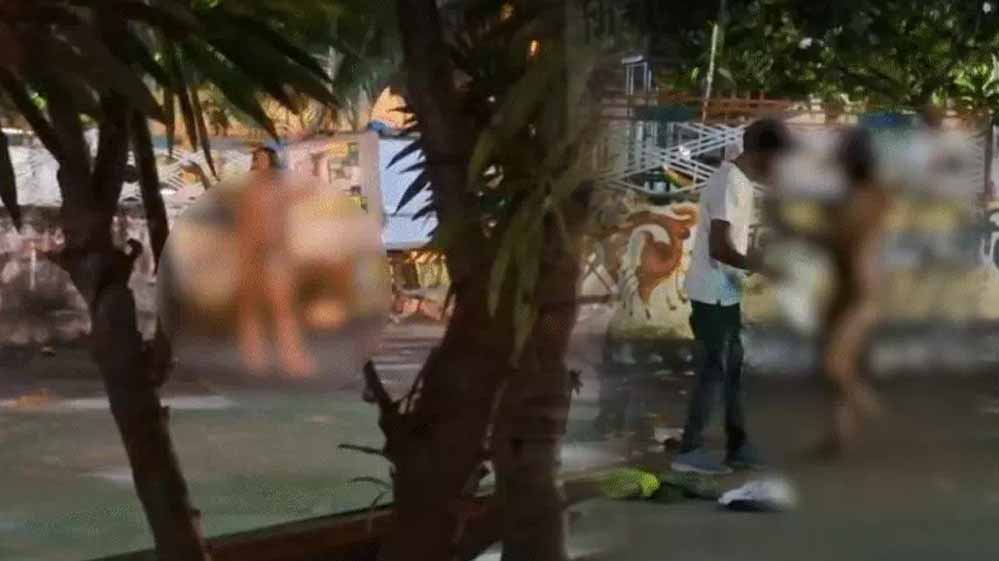 टीकमगढ़ : सड़क पर नग्न किन्नर का उत्पात, पुलिस ने साड़ी पहनाने के लिए दो घंटे दौड़ लगाई