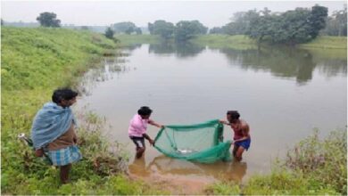 सफलता की कहानी: किशोरी अमृत सरोवर बना खुशहाली का स्रोत