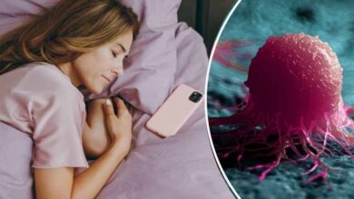 स्टडी में खुलासा: भारत के दो शहरों में ब्रेस्ट कैंसर का सबसे ज्यादा खतरा, NE में फैल रहा लंग्स कैंसर