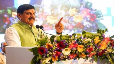 पीएम मित्रा पार्क से टेक्सटाइल सेक्टर में मध्यप्रदेश को मिलेगा नया आयाम : मुख्यमंत्री डॉ. यादव