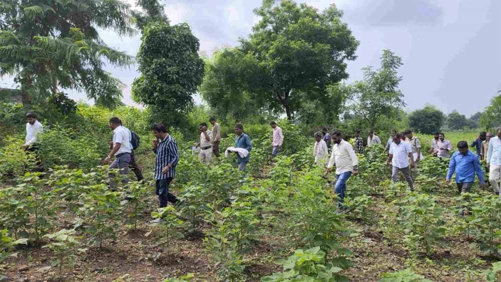 MP में जुड़वां नवजातों की मौत: 15 दिन बाद कब्र से निकाला गया बच्चे का शव, पोस्टमार्टम से खुलेंगे राज MP में जुड़वां नवजातों की मौत: 15 दिन बाद कब्र से निकाला गया बच्चे का शव, पोस्टमार्टम से खुलेंगे राज