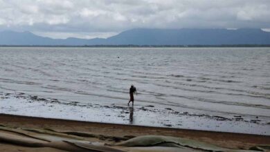 बांग्लादेश से आई ‘समुद्र की रानी’, खुश हैं लोग लेकिन दुकानदारों की चिंता बढ़ी – जानिए वजह