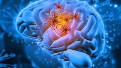 केरल में दिमाग खाने वाला अमीबा: 19 मौतों के बाद जानें कारण, लक्षण और बचाव