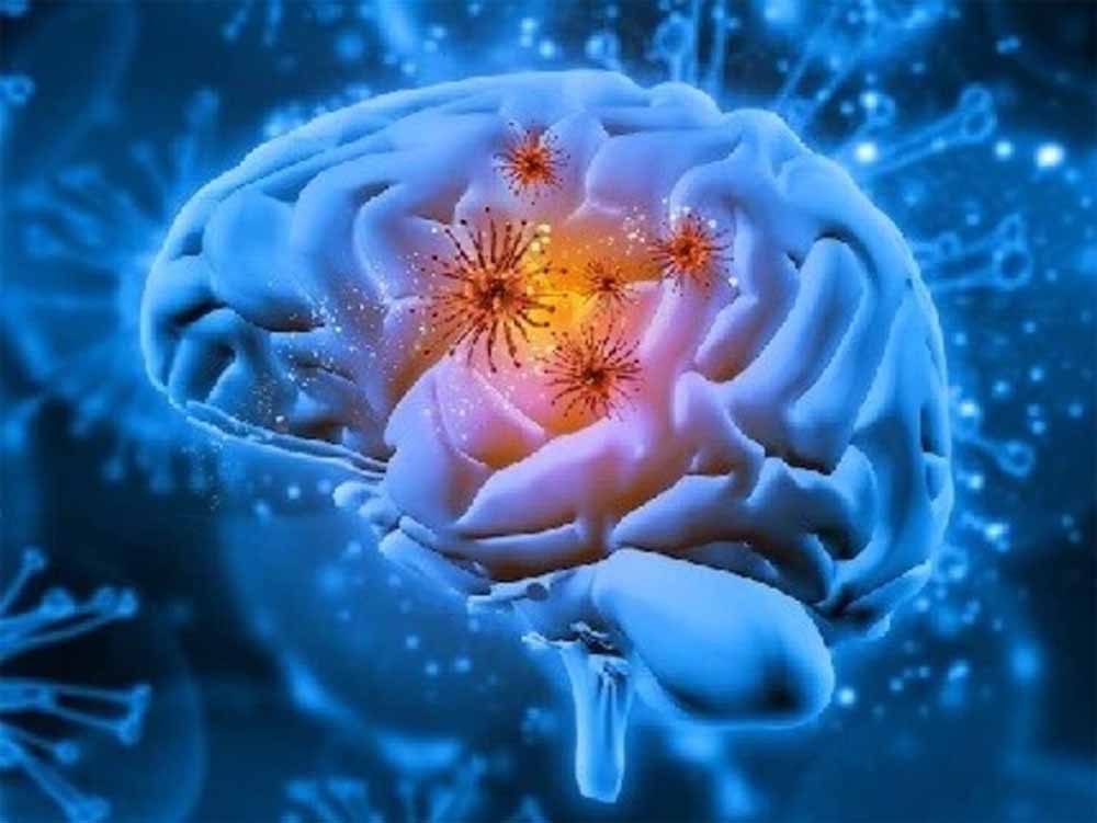 केरल में दिमाग खाने वाला अमीबा: 19 मौतों के बाद जानें कारण, लक्षण और बचाव