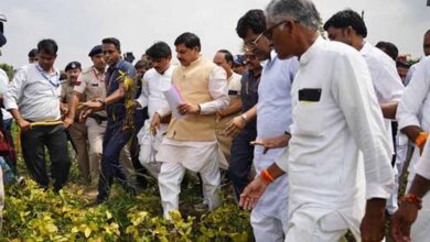 मध्यप्रदेश सरकार किसानों के साथ किसानों को किसी तरह का नुकसान नहीं होने देंगे : मुख्यमंत्री डॉ. यादव